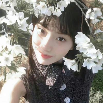 守法的盗贼